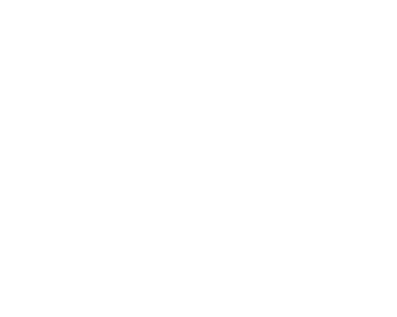 Timelaine logo light